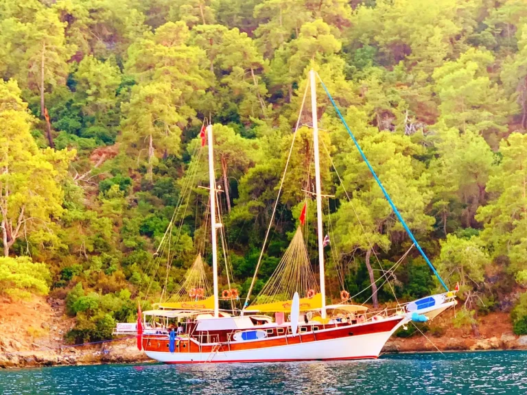 Alquiler Velero Custom con o sin  título de navegación