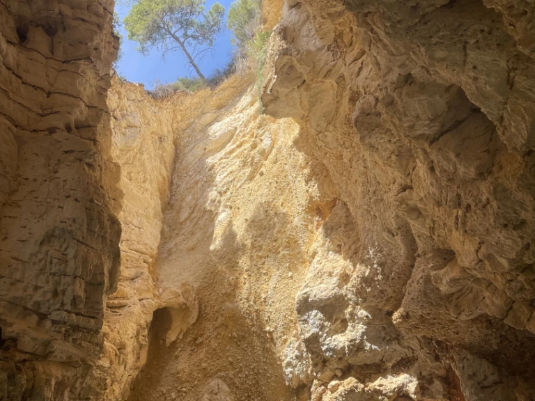 Alquiler de barcos Vieste barato de Sermoneta 29'