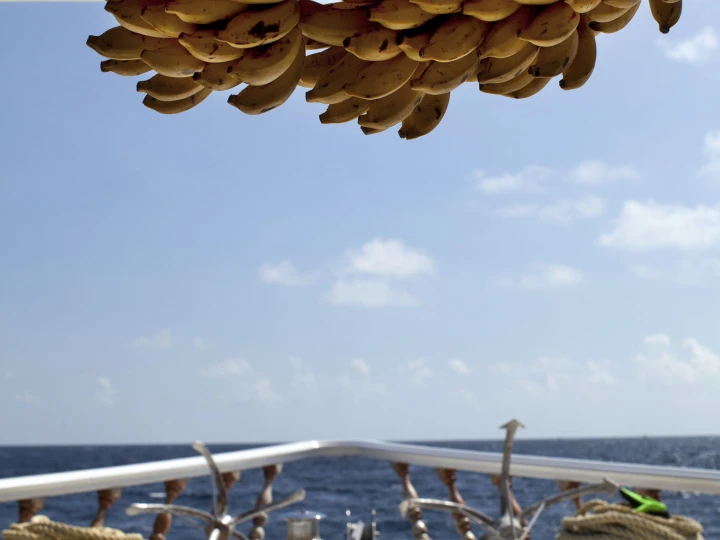 Alquiler de Lancha, con o sin patrón  Hulhumale