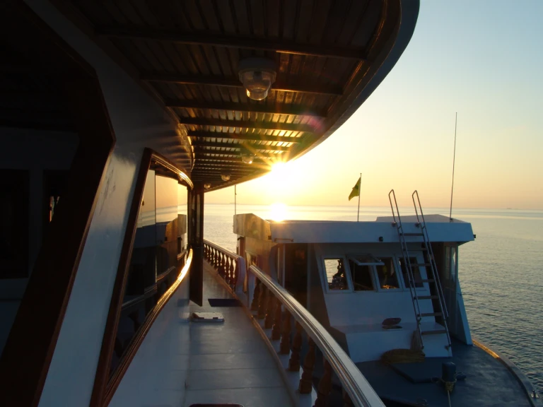 Alquiler de Lancha, con o sin patrón  Hulhumale