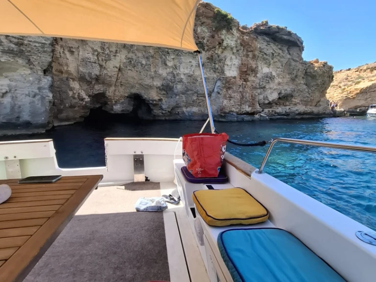 Alquiler Lancha Bayliner con o sin  título de navegación