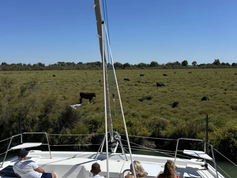 Bali Bali Catspace Voile de alquiler a Le Grau-du-Roi