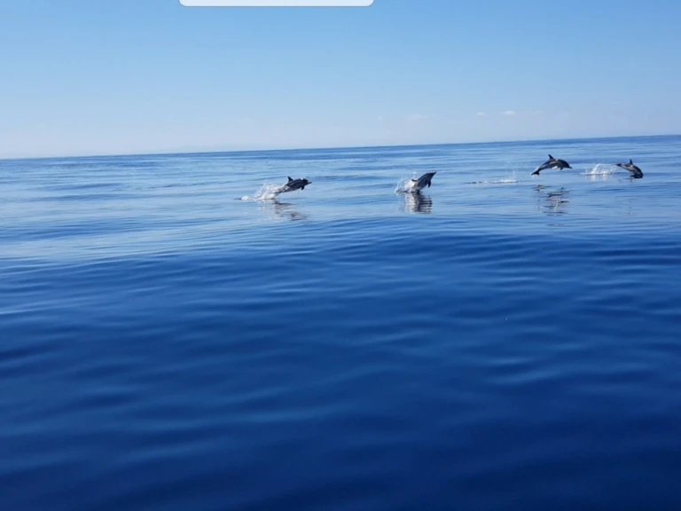 Alquiler Anglet - Jeanneau Merry Fisher 925 Fly en SamBoat