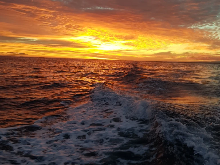 Alquiler de Jeanneau Merry Fisher 925 Fly en Anglet