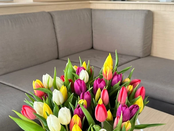 Alquiler de embarcaciones Fountaine Pajot Fountaine Pajot Samana 59 - 6 + 2 cab enProcida en Samboat