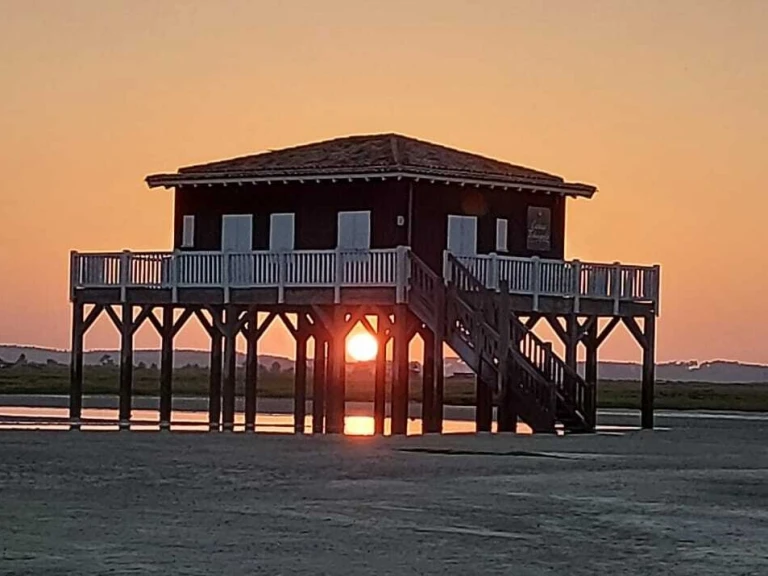Alquiler Lancha Quicksilver con o sin  título de navegación
