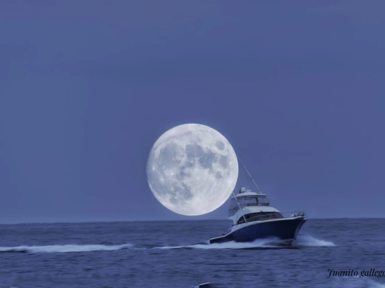 Rico Cori Fisher 1370 de alquiler a Altea