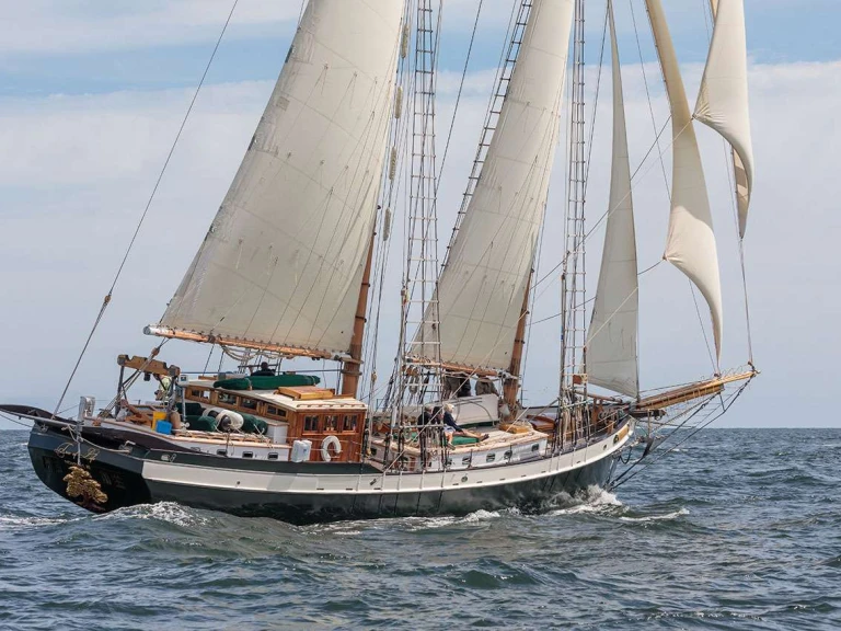 Alquiler de Covey Island Boatworks TREE OF LIFE en Newport