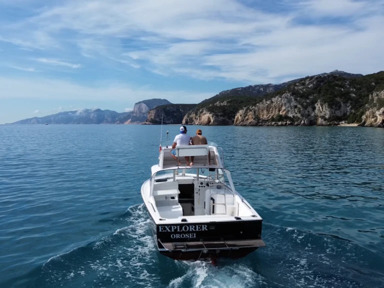Alquiler Lancha Bertram con o sin  título de navegación