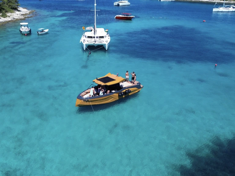 Alquiler Lancha Alesta Marine con o sin  título de navegación