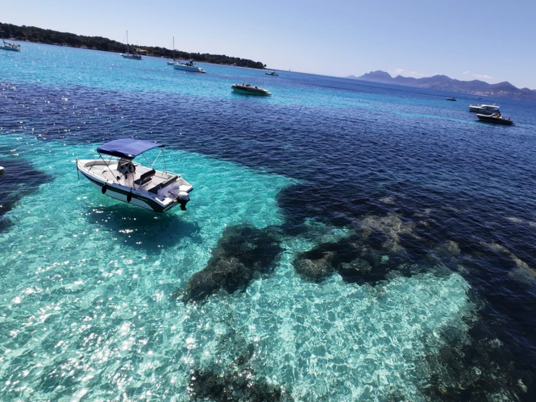 Alquiler Lancha Poseidon con o sin  título de navegación