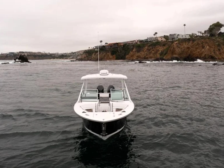 Alquiler de Lancha, con o sin patrón Blackfin West Palm Beach