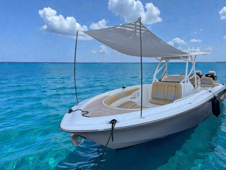 Alquiler de Pronautica 880 Open Sport en Port d'Alcudia