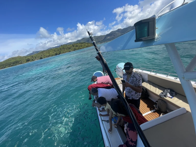 Alquiler Lancha fisherman con o sin  título de navegación