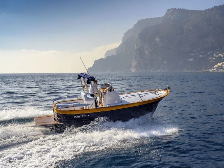 Alquiler Lancha Mimi con o sin  título de navegación