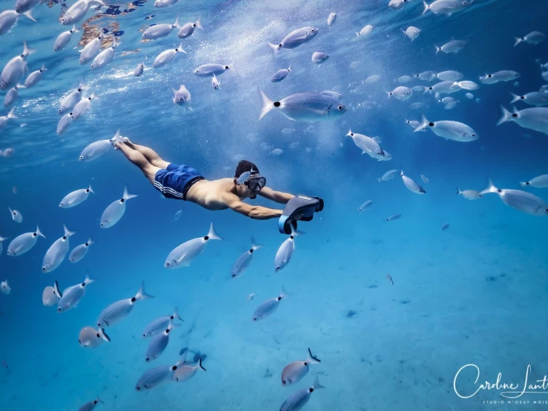 Alquiler Porto-Vecchio - Lomac Lomac 540 IN en SamBoat