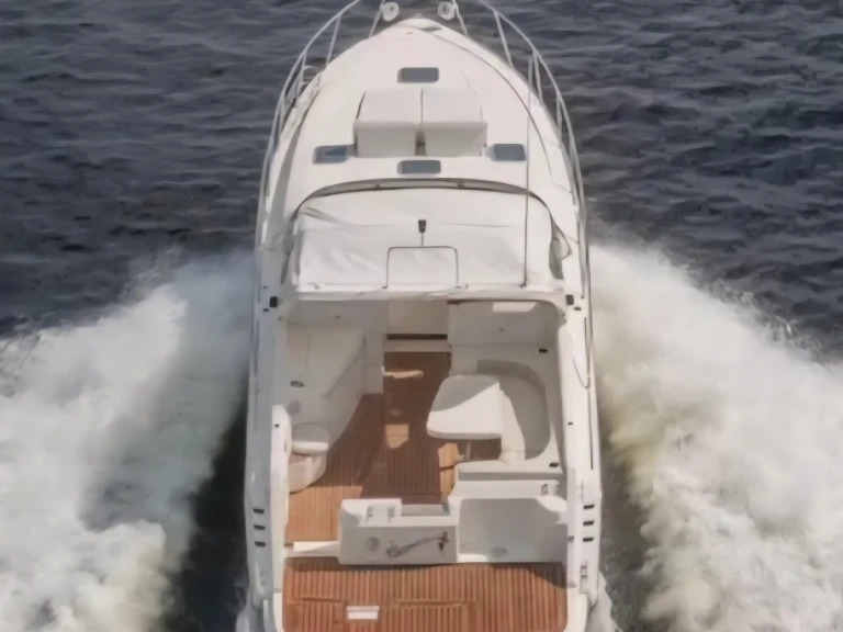 Alquiler de Lancha, con o sin patrón Sealine Puntone