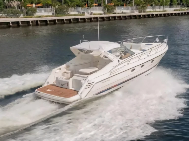 Alquiler Lancha Sealine con o sin  título de navegación