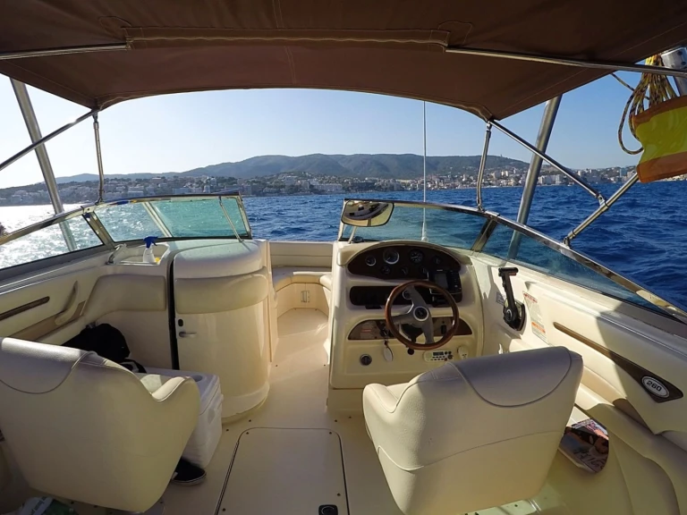 Alquiler Lancha en Santa Ponsa - Sea Ray Sea Ray 260