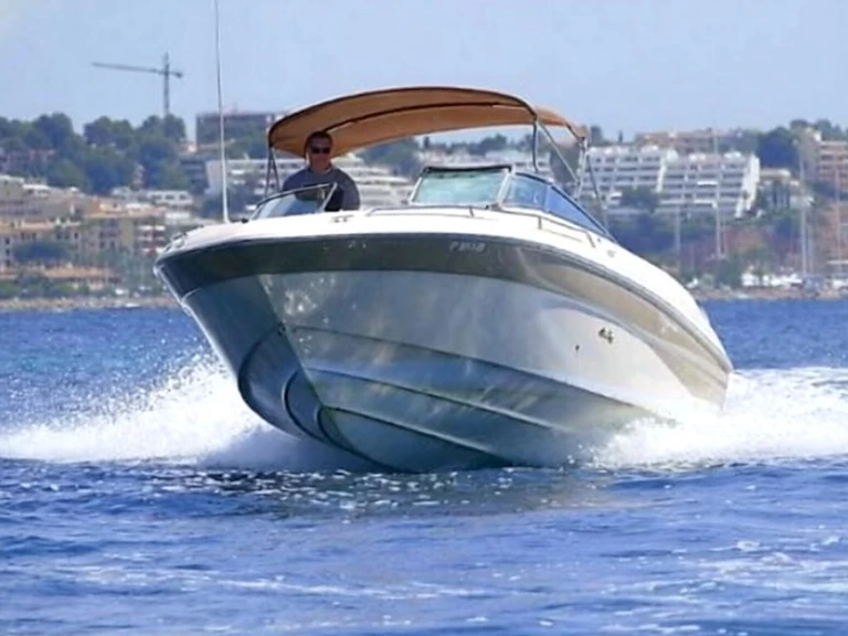Alquiler de Lancha, con o sin patrón Sea Ray Santa Ponsa