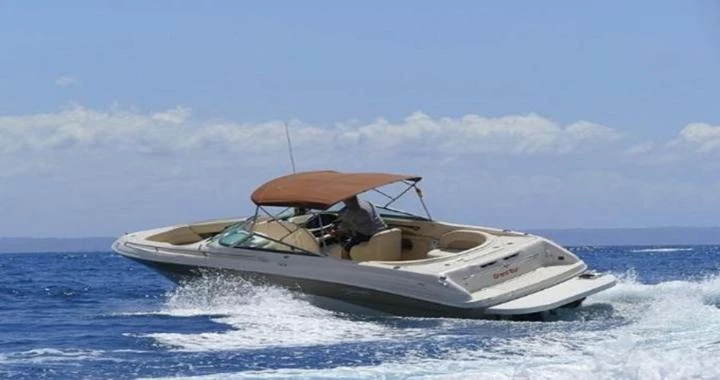 Sea Ray Sea Ray 260 de alquiler a Santa Ponsa