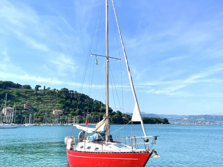 Alquiler de Velero, con o sin patrón Cobra Lerici