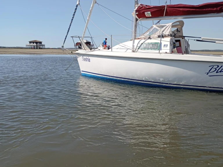 Alquiler de Velero, con o sin patrón B2 Marine Pyla sur Mer