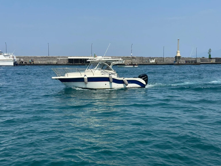 Alquiler de Lancha, con o sin patrón SEAGAME Capri