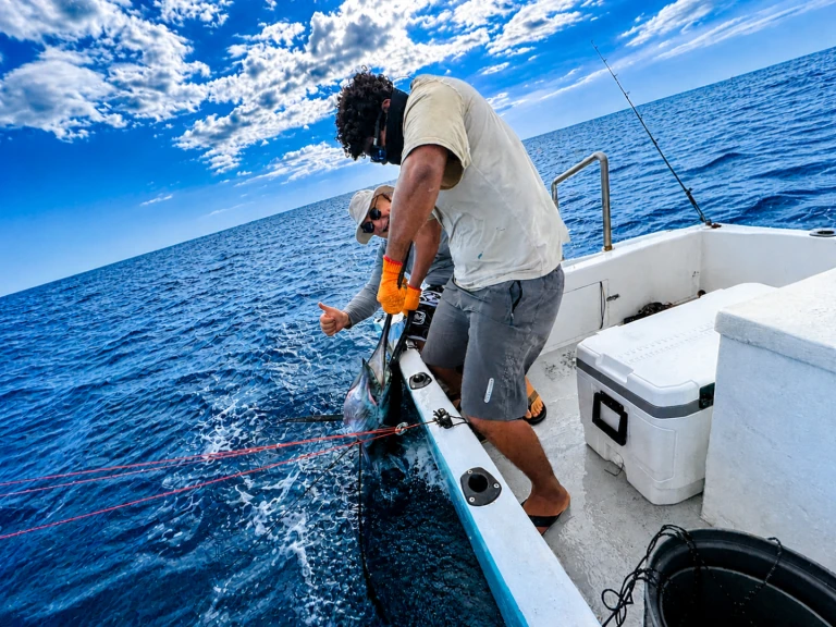 Alquiler de Lancha, con o sin patrón Custom Made Bahía Culebra