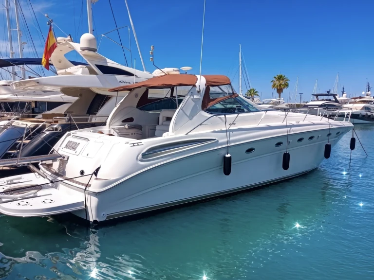 Alquiler de Lancha, con o sin patrón Sea Ray Port de Pollença