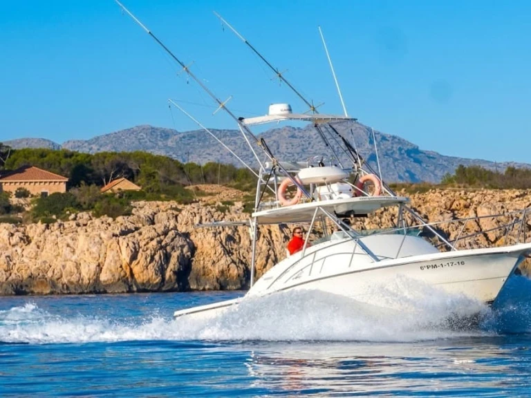 Lancha para alquilar Port de Pollença al mejor precio