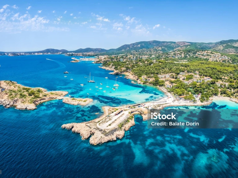 Four Winns H 260 de alquiler a Palma de Mallorca