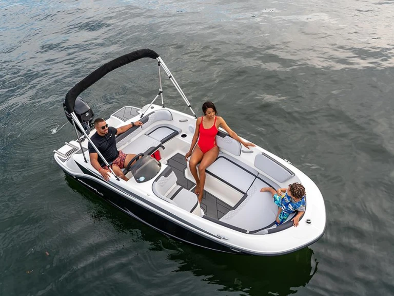 Alquiler de Bayliner ELEMENT M15 en Sanguinet