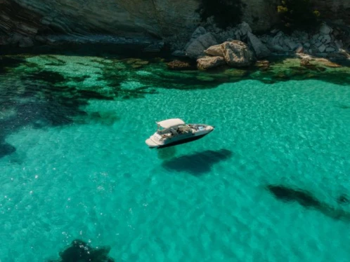 Alquiler de Lancha, con o sin patrón Sea Ray Santa Ponsa