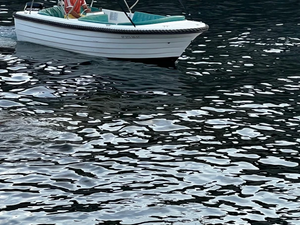 Alquiler Lancha Polyester Yacht con o sin  título de navegación