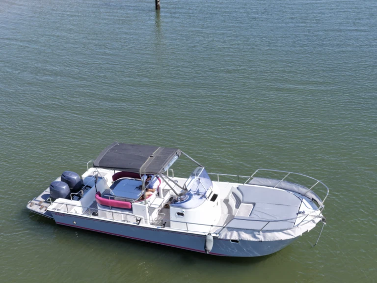 Beacher Beacher V8 de alquiler a Arcachon