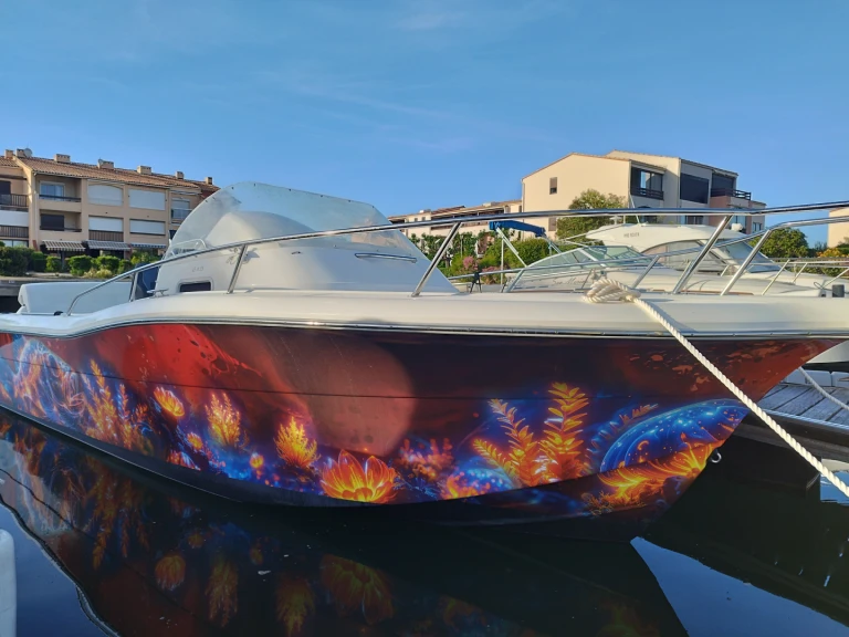Alquiler de White Shark White Shark 248 en Saint-Cyprien