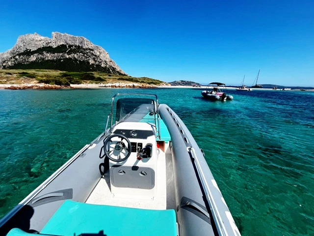 Bwa California 550 de alquiler a Olbia