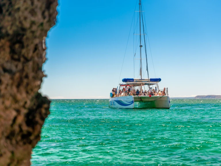 Alquiler de Catamarán, con o sin patrón Custom Made Marina de Lagos