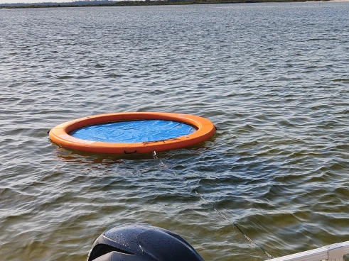 Sun Tracker Bass Buggy 18 de alquiler a Sanguinet