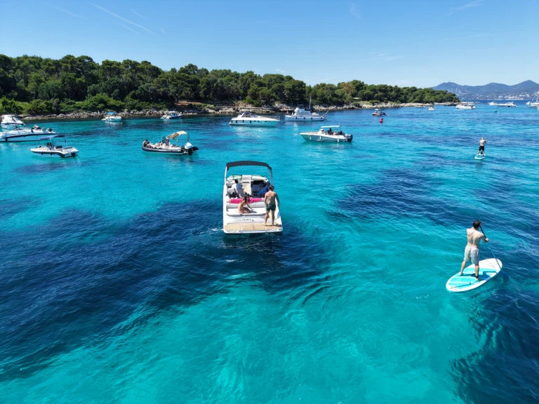 Sea Ray SDX 27 E de alquiler a Port La Napoule