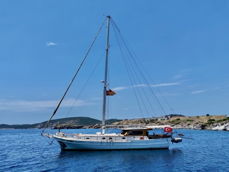 Alquiler Bodrum - Custom Made Zorbas en SamBoat