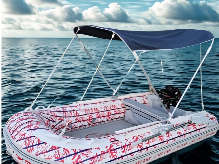 Alquiler de barcos Le Brusc barato de RIB3