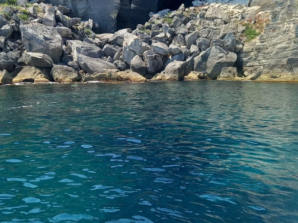 Alquiler Marsala - Combac Shark  en SamBoat