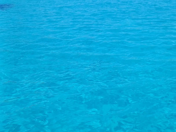Alquiler de Combac Shark  en Marsala