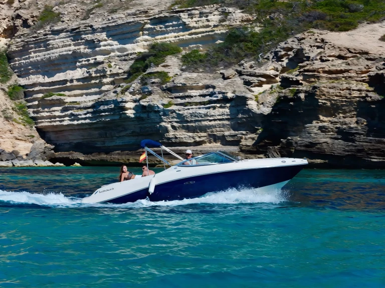 Sea Ray Sea Ray 230 de alquiler a Port d'Andratx