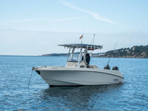 Alquiler Lancha Boston Whaler con o sin  título de navegación