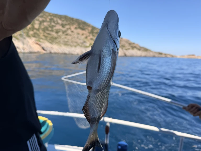 Traditional Greek  de alquiler a Pórto Ráfti