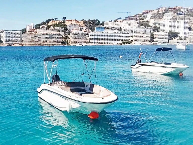 Alquiler de Lancha, con o sin patrón Bayliner Palma de Mallorca