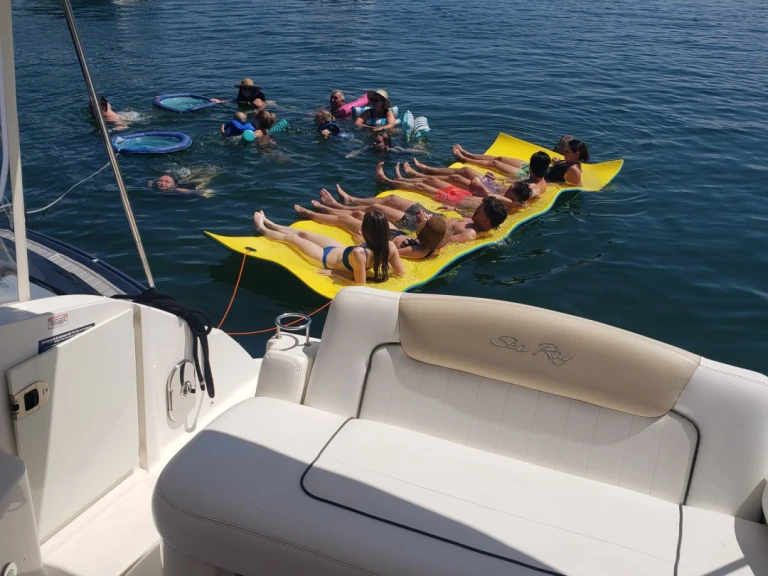 Alquiler Lancha en Miami - Sea Ray Sea Ray 300 Sundancer